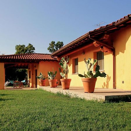 Le Pettegole Del Boschetto Villa Castiglione della Pescaia Exteriör bild