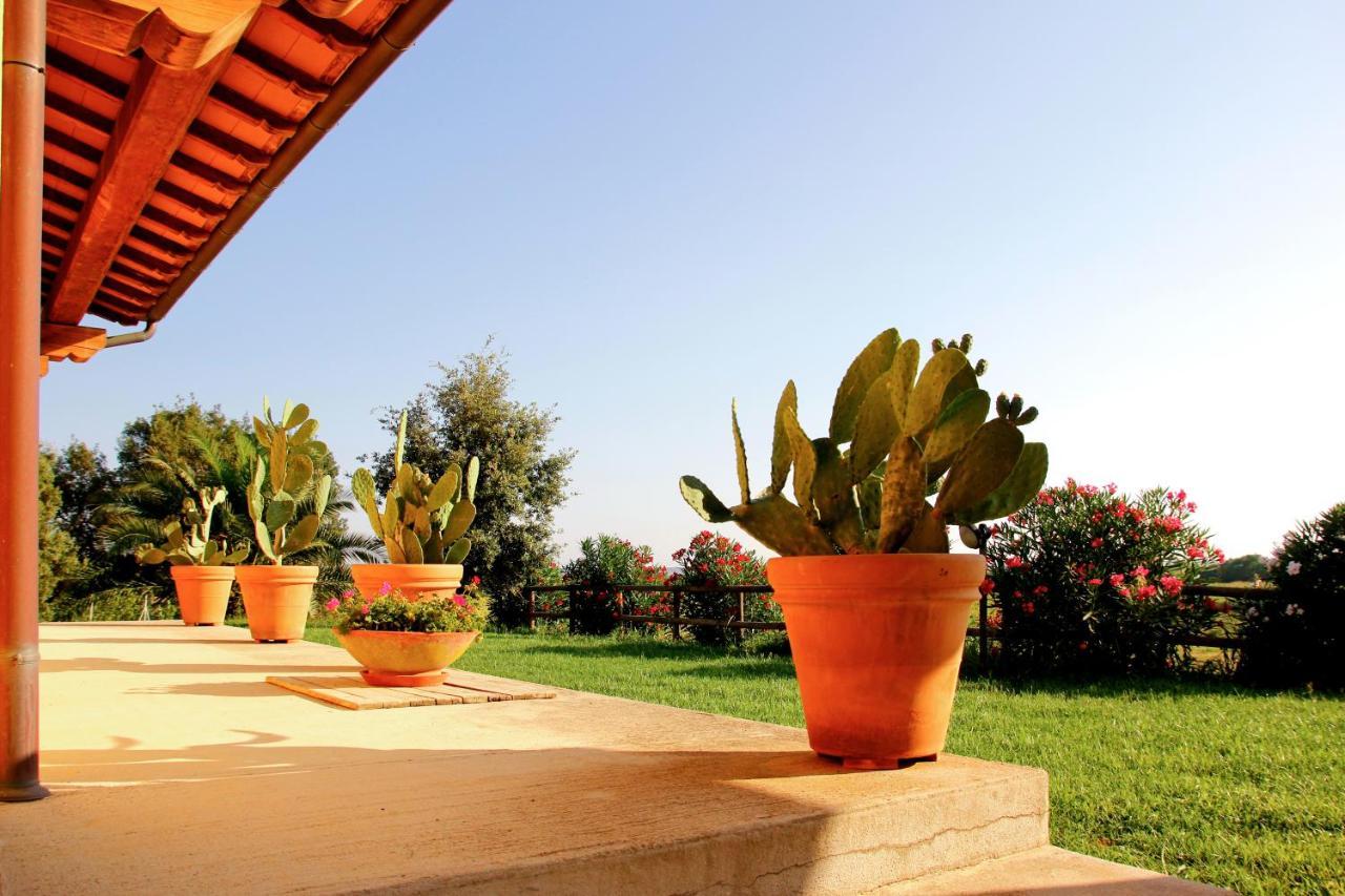 Le Pettegole Del Boschetto Villa Castiglione della Pescaia Exteriör bild